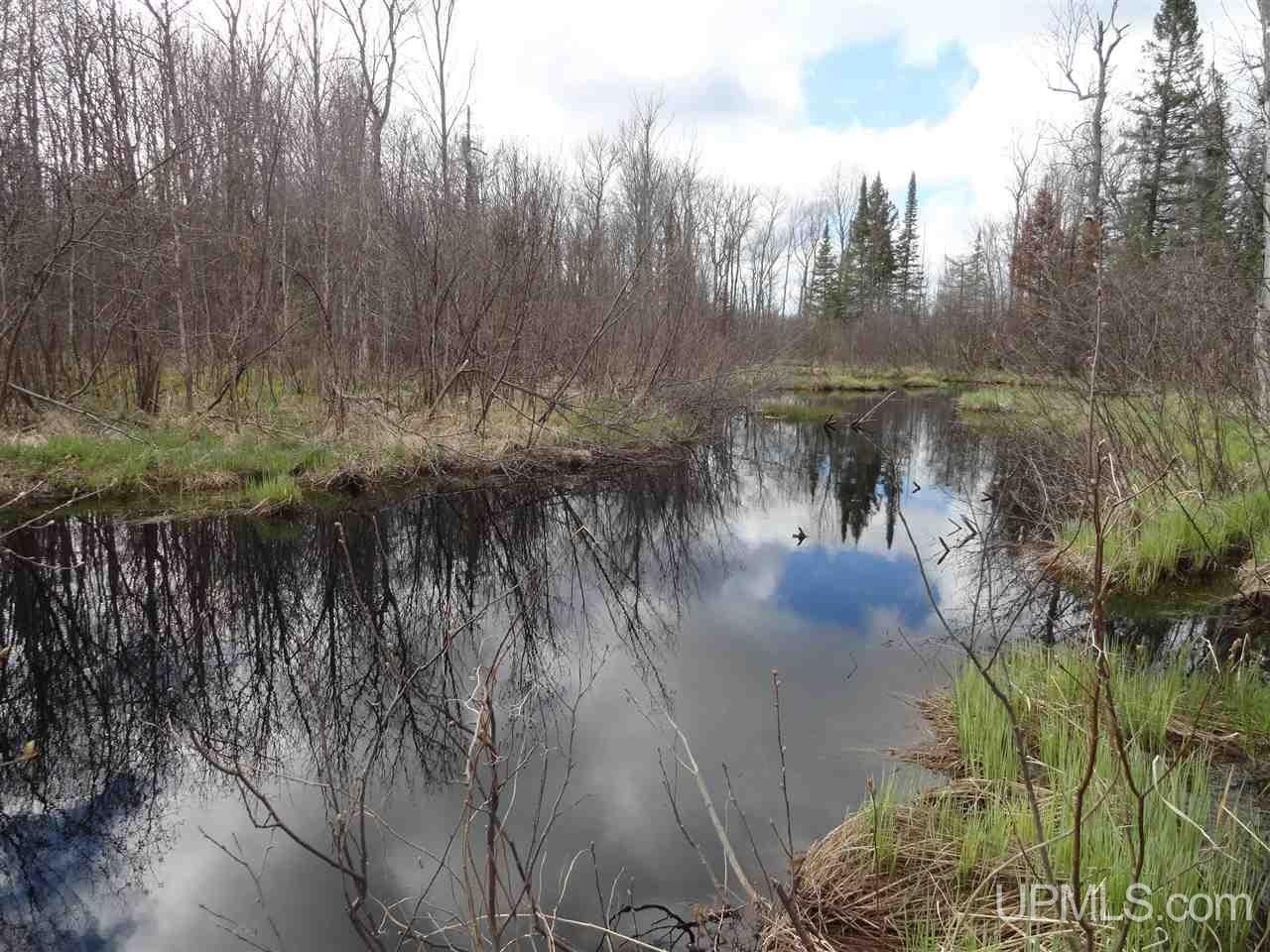 Bergland, Ontonagon County, MI Undeveloped Land, Lakefront Property