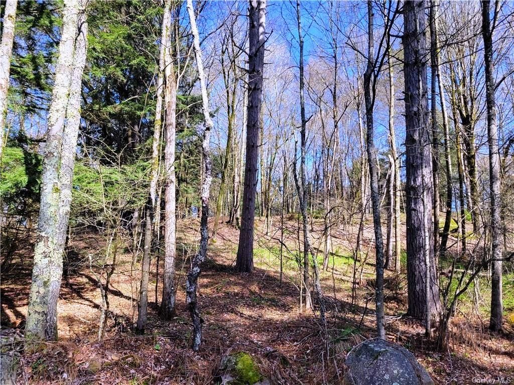 Bethel, Sullivan County, NY Recreational Property, Homesites for sale