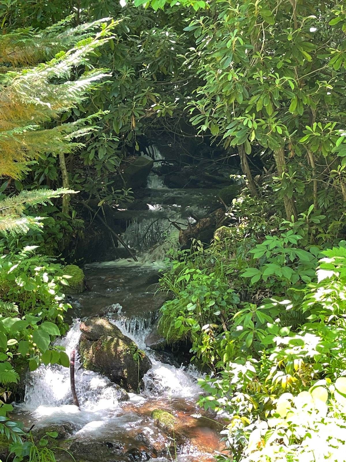 Waynesville, Haywood County, NC Undeveloped Land for sale Property ID 413742588 LandWatch