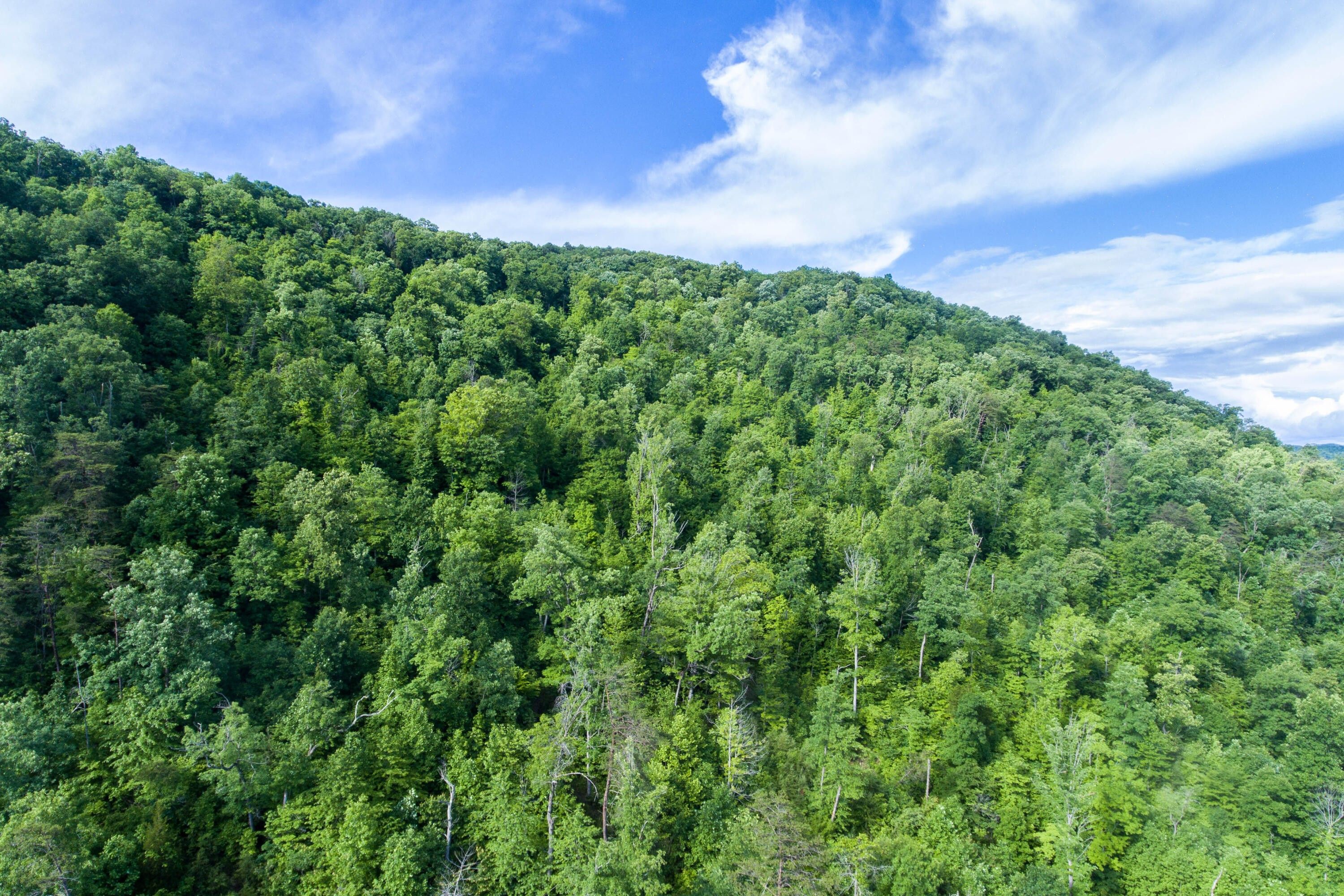 Stanton, Powell County, KY Undeveloped Land for sale Property ID