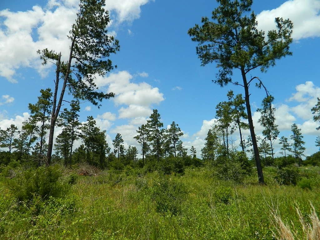 TBD FM 1469, Marquez, TX 77865 MLS 55954007 LandWatch