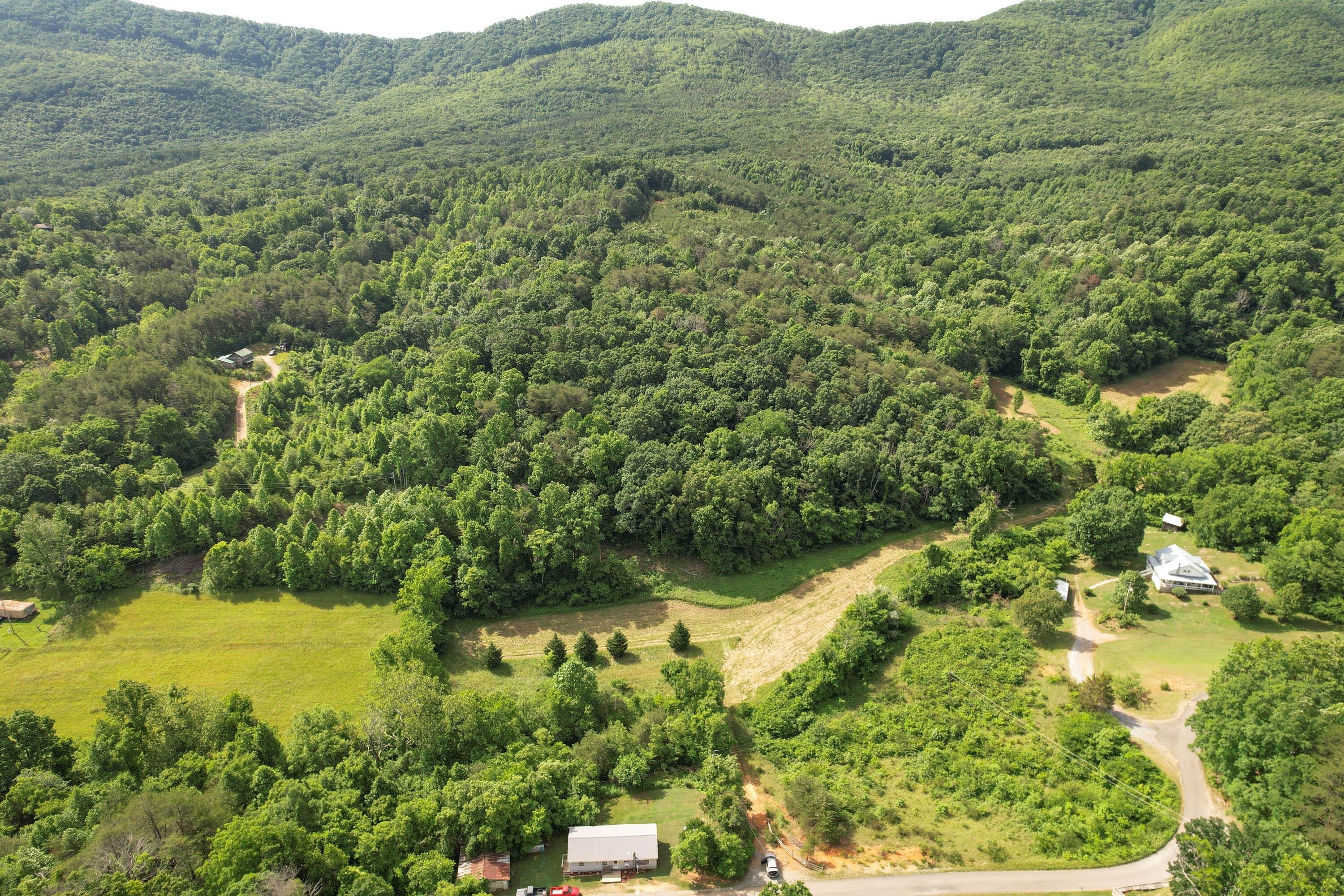 Parrottsville, Cocke County, TN Undeveloped Land for sale Property ID