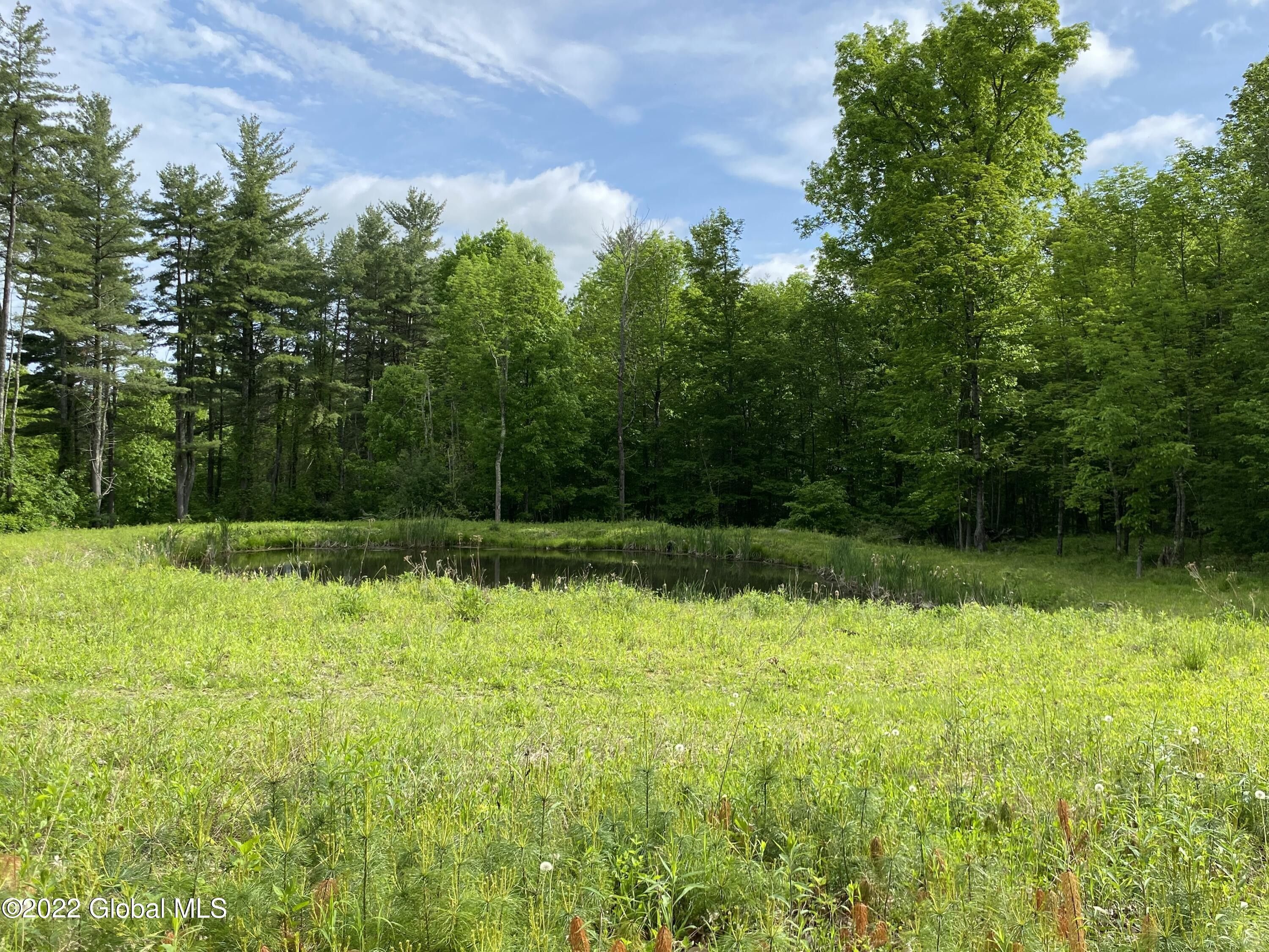 Petersburgh, Rensselaer County, NY Undeveloped Land for sale Property