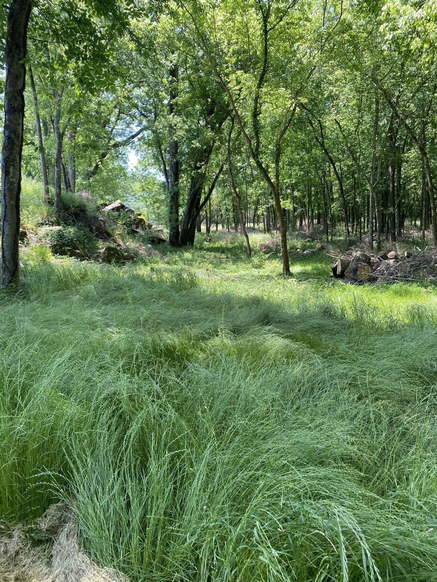 Rising Fawn, Dade County, GA Undeveloped Land for sale Property ID