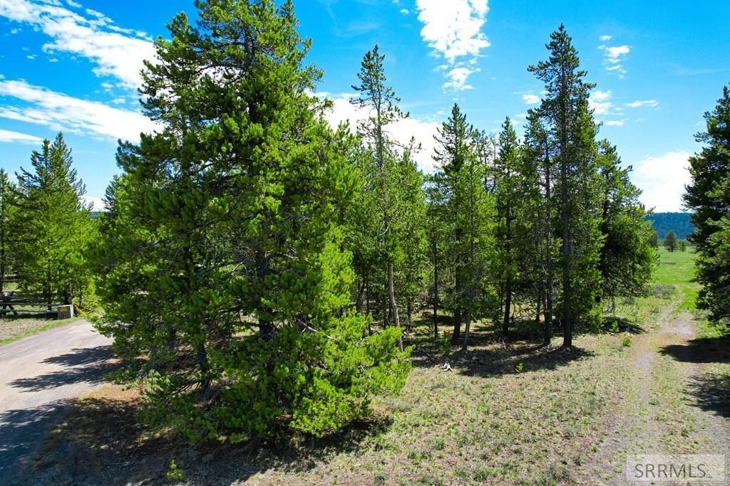 Island Park, Fremont County, ID Undeveloped Land for sale Property ID 413748335 LandWatch