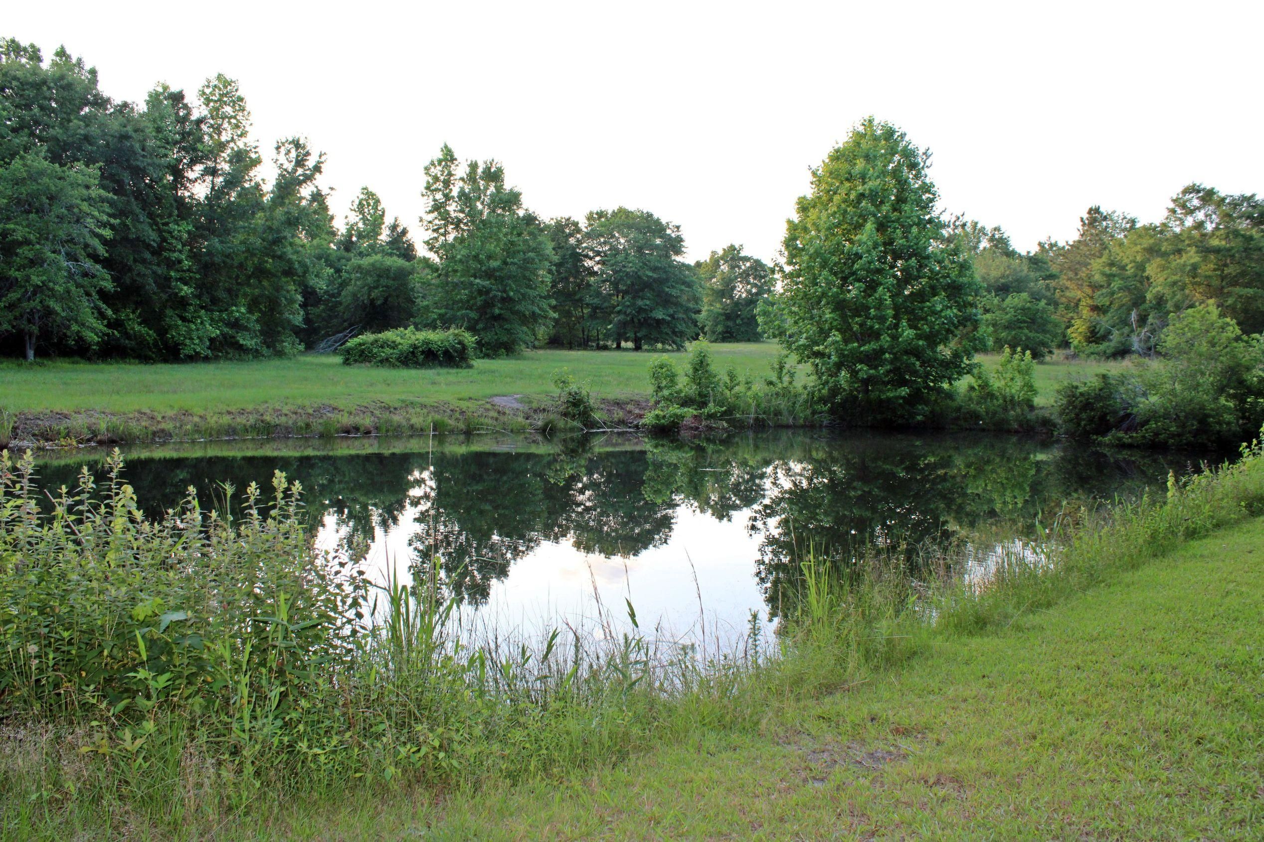 Chesterfield, Chesterfield County, SC Recreational Property for sale