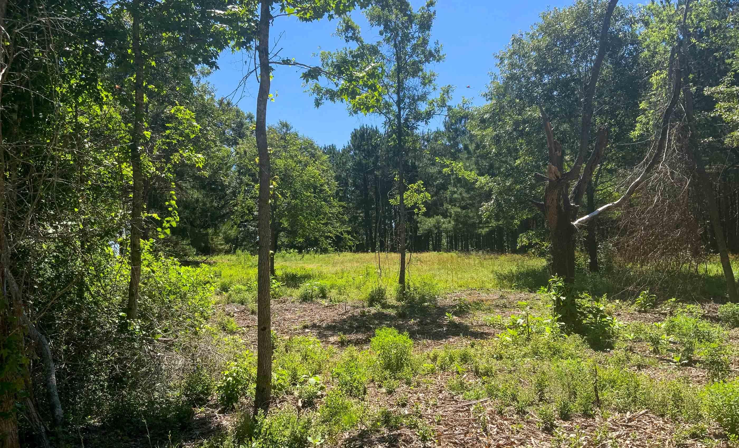 319 acres in Centerville, TX, 75855 LandWatch