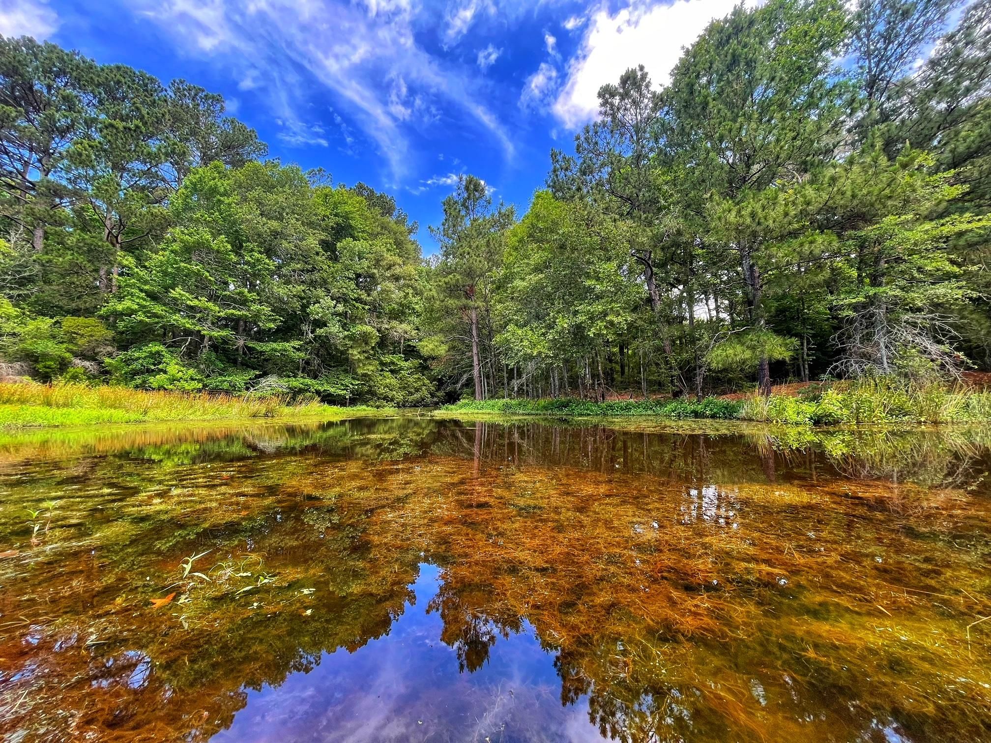 Centerville, Leon County, TX Recreational Property, Undeveloped Land