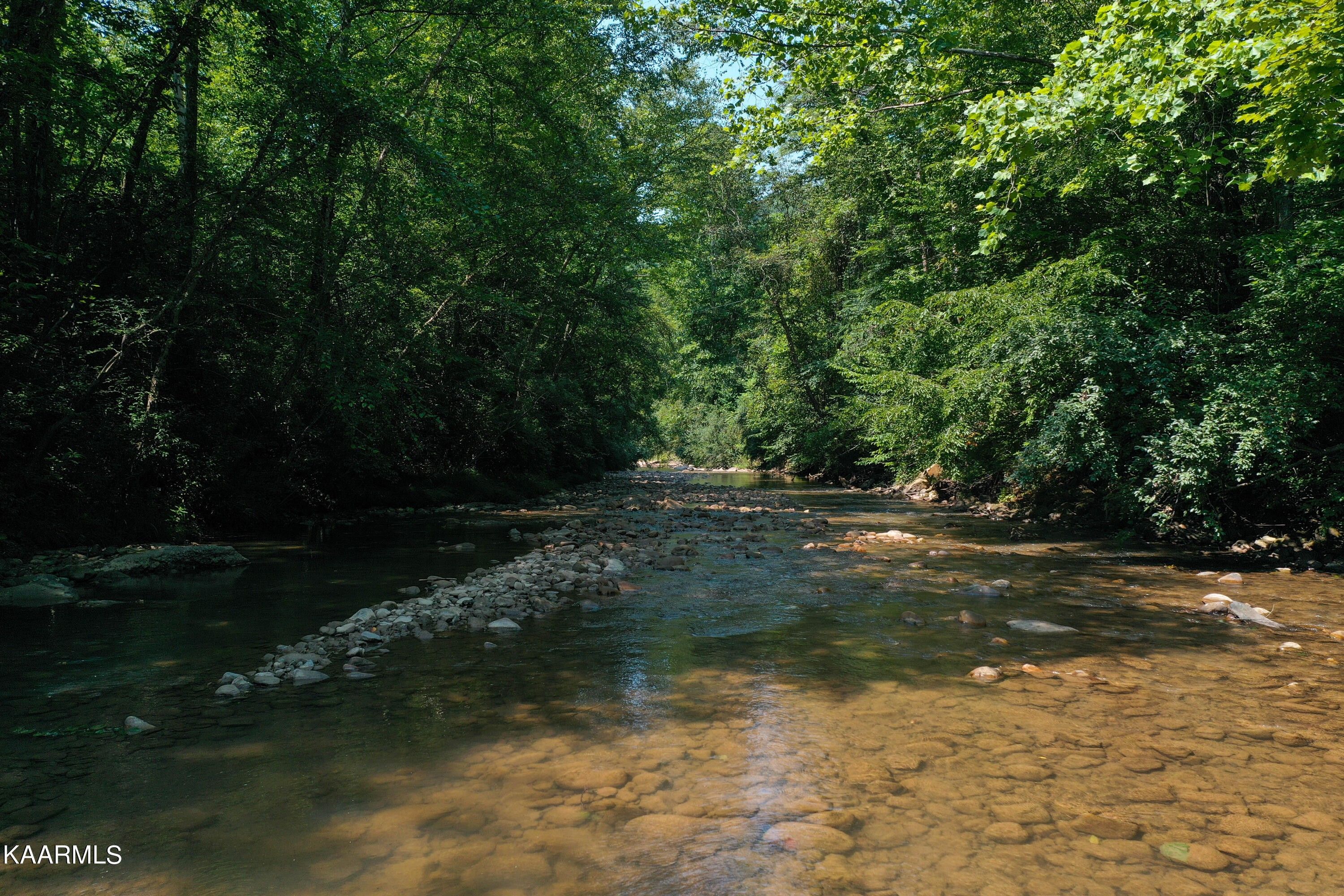 Briceville, Anderson County, TN Undeveloped Land for sale Property ID