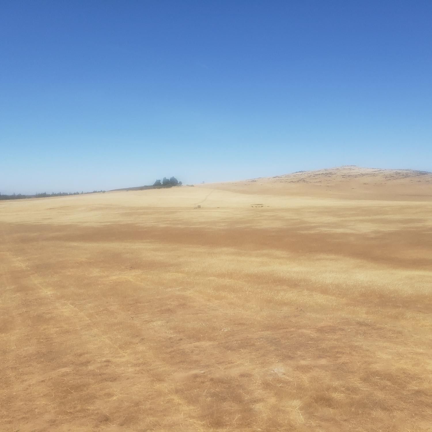 Sanger, Fresno County, CA Farms and Ranches for sale Property ID