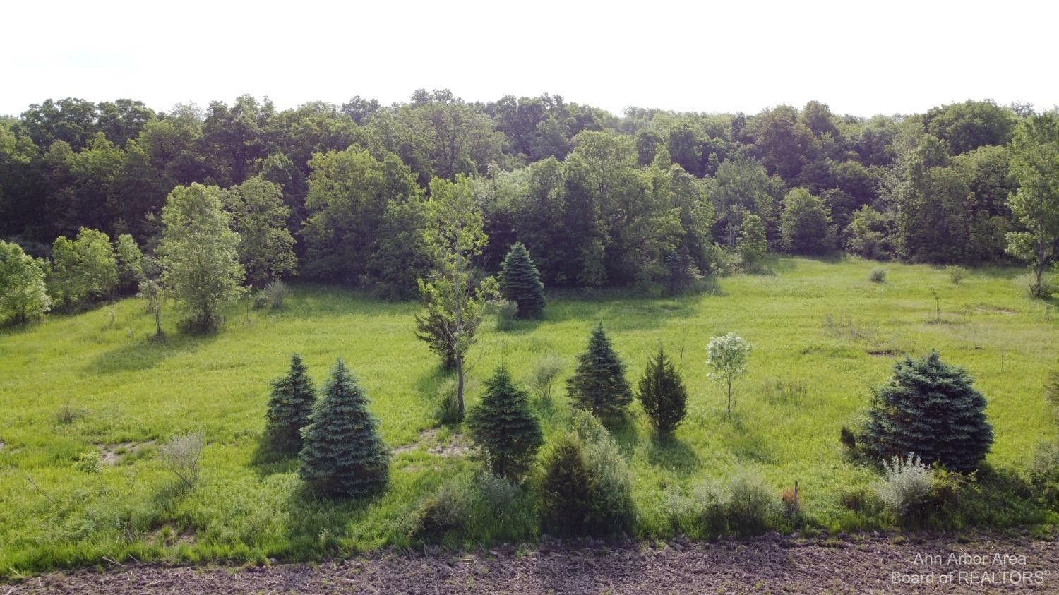 Ann Arbor, Washtenaw County, MI Undeveloped Land for sale Property ID