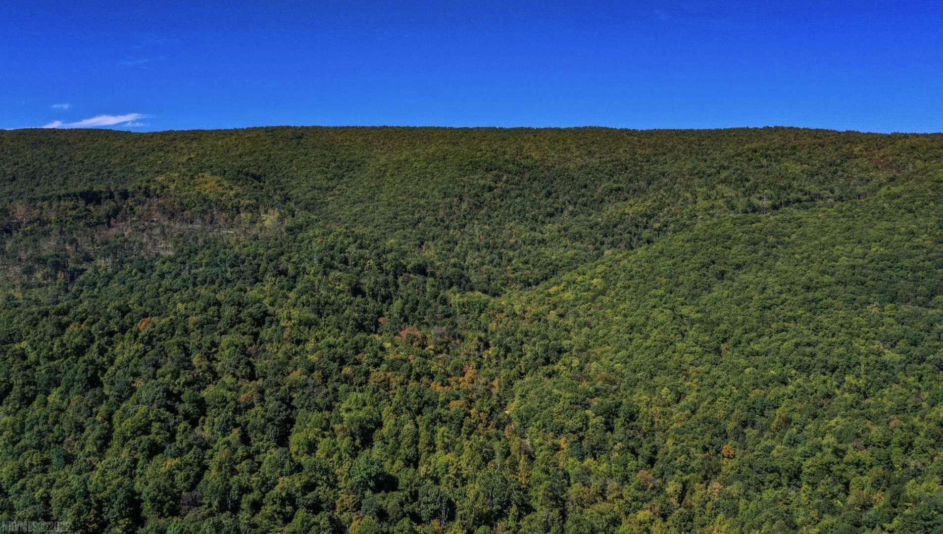 Narrows, Giles County, VA Undeveloped Land for sale Property ID