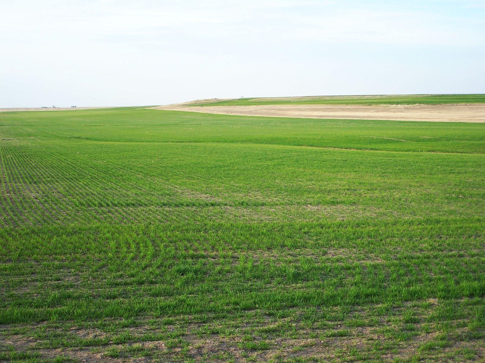 Lodgepole, Cheyenne County, NE Farms and Ranches for sale Property ID