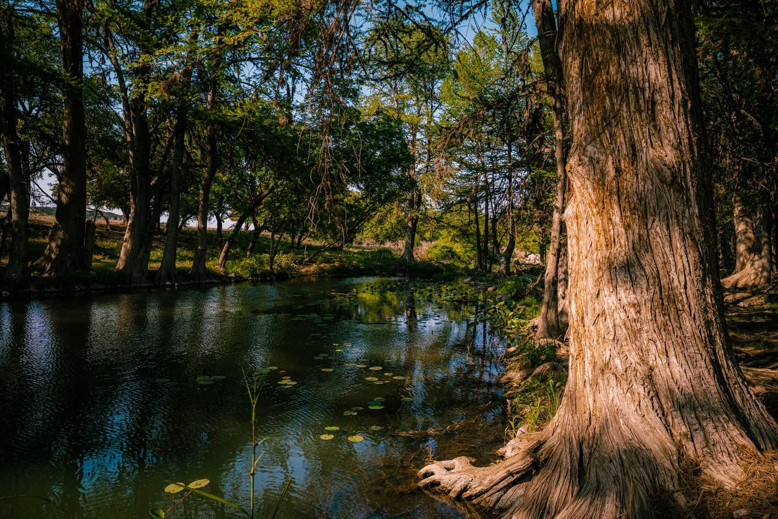 Hunt, Kerr County, TX Farms and Ranches, Recreational Property