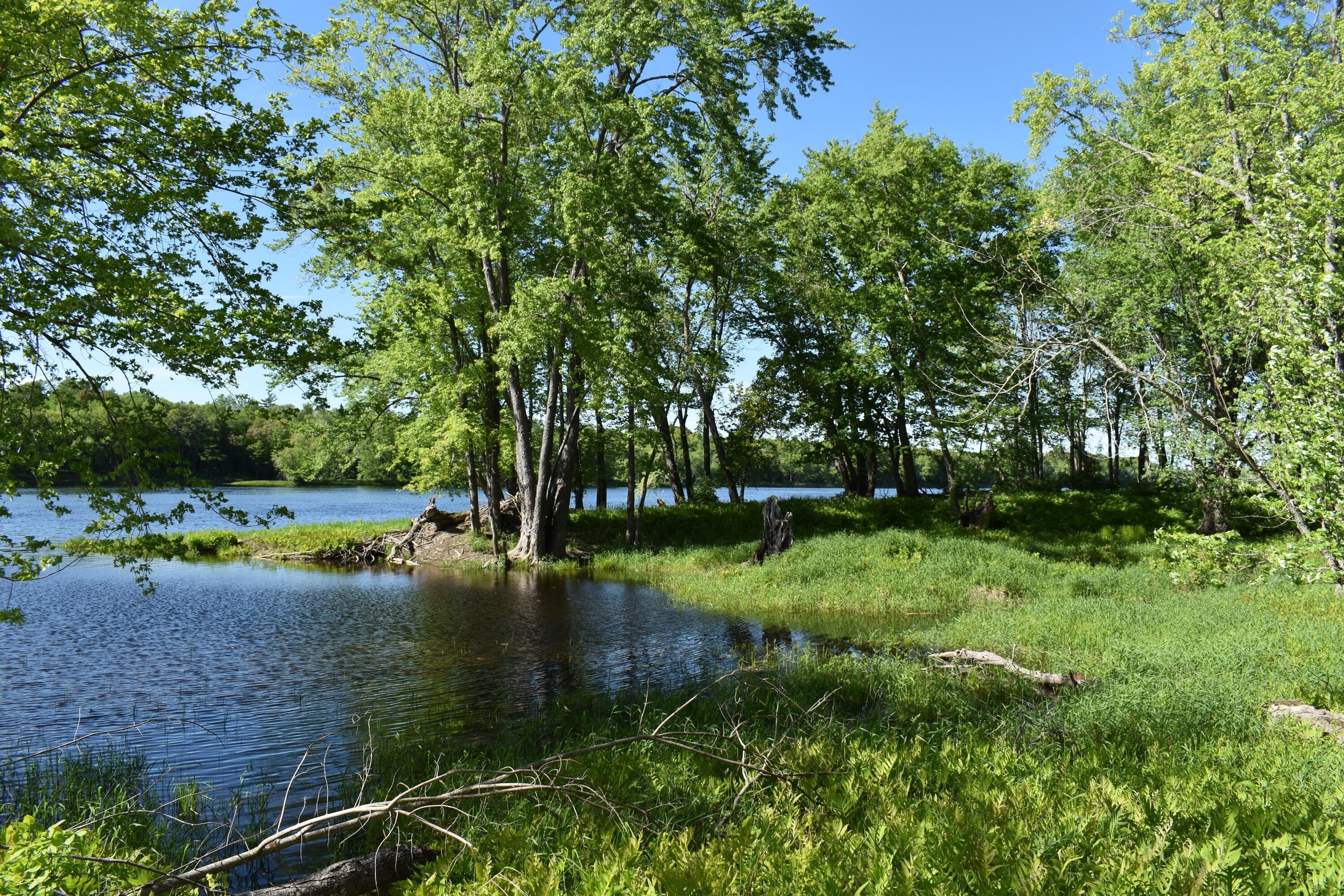 Lincoln, Penobscot County, ME Undeveloped Land, Lakefront Property