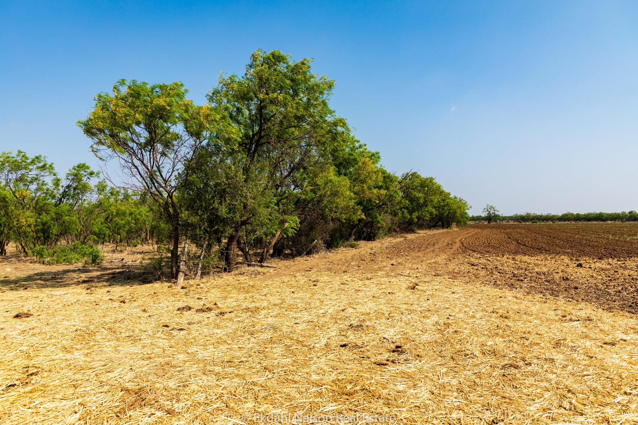 Abilene, Taylor County, TX Farms and Ranches, Recreational Property