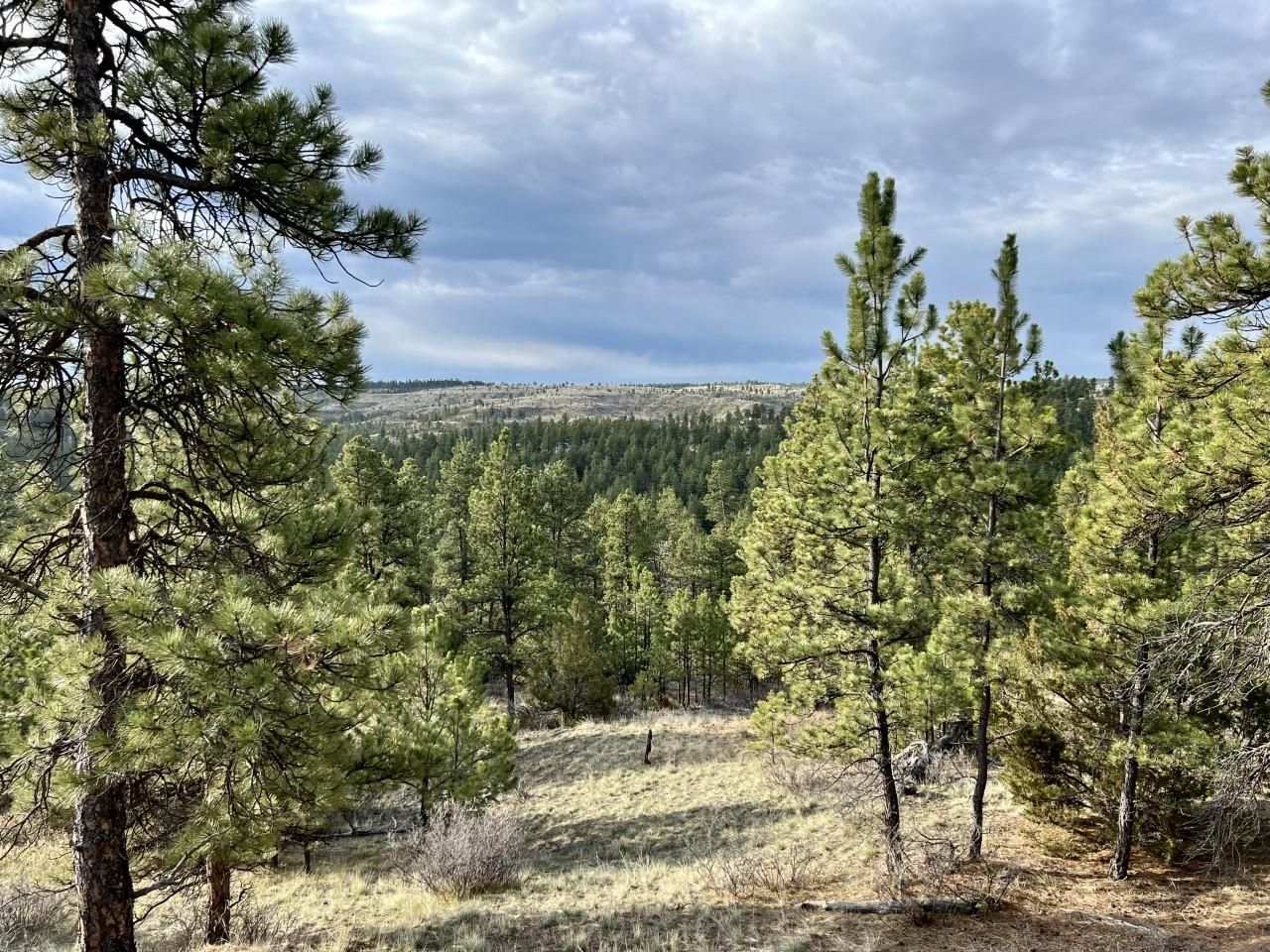Whitetail Ridge, Roundup, MT 59072 LandWatch