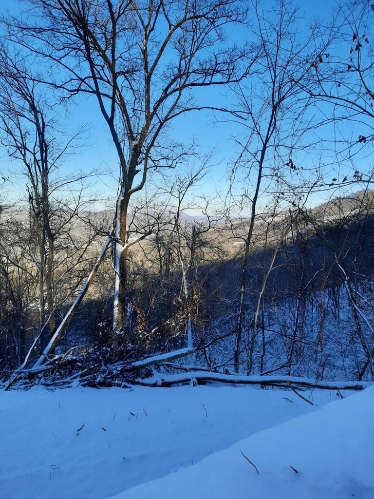 Rogersville, Hawkins County, TN Undeveloped Land for sale Property ID