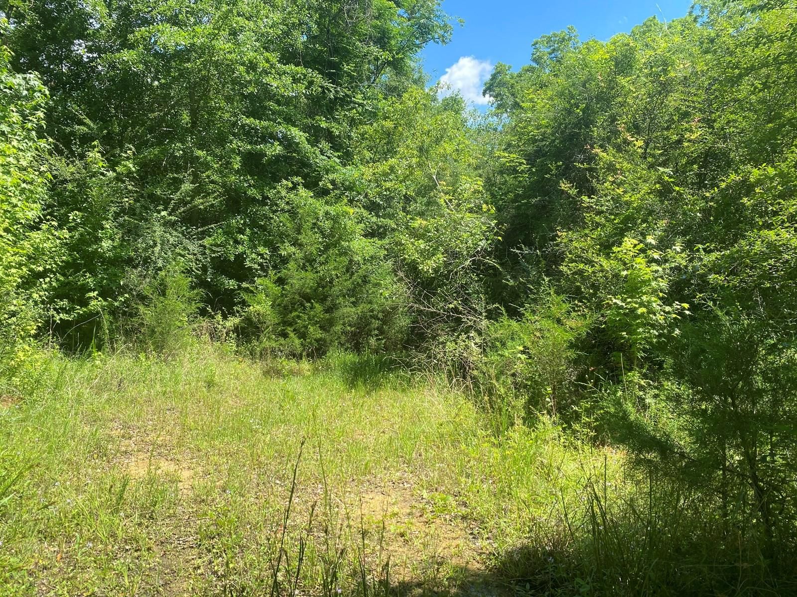 Luverne, Crenshaw County, AL Hunting Property for sale Property ID