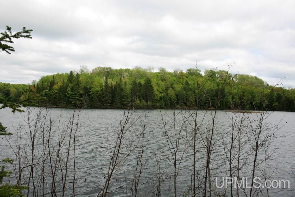 Watersmeet, Gogebic County, MI Undeveloped Land, Lakefront Property