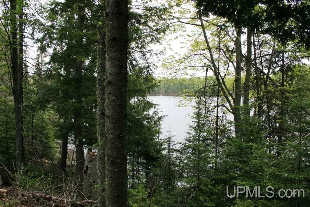 Watersmeet, Gogebic County, MI Undeveloped Land, Lakefront Property