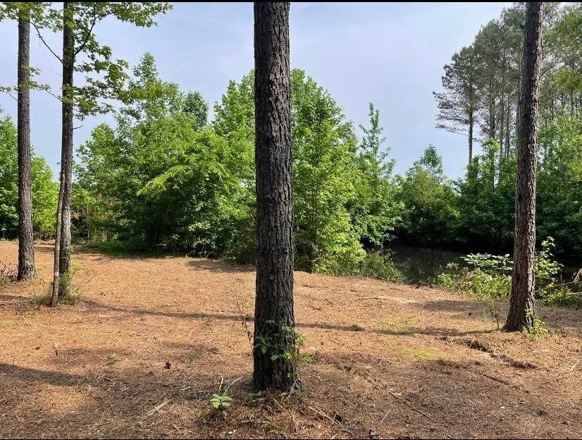 Holly Springs, Marshall County, MS for sale Property ID 413771676