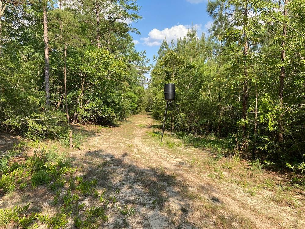 Leakesville, Greene County, MS Recreational Property, Timberland