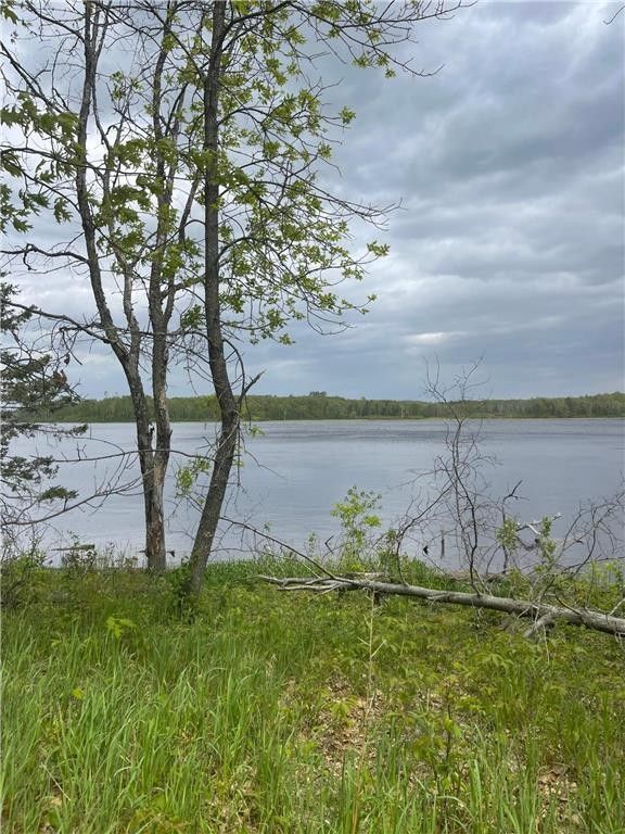 Backus, Cass County, MN Undeveloped Land, Lakefront Property