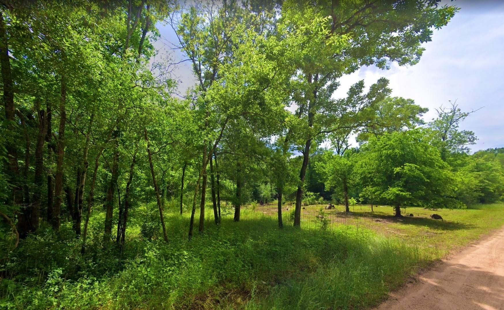 Coldspring, San Jacinto County, TX Recreational Property, Undeveloped