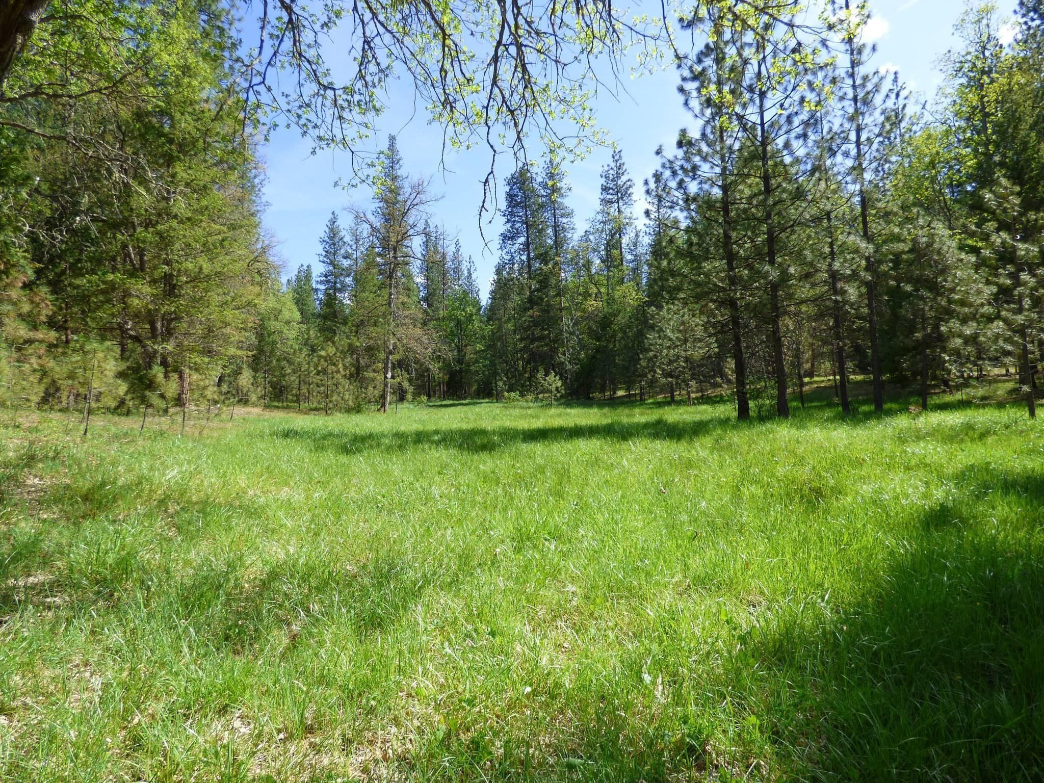 Fort Jones, Siskiyou County, CA for sale Property ID 413780627 LandWatch