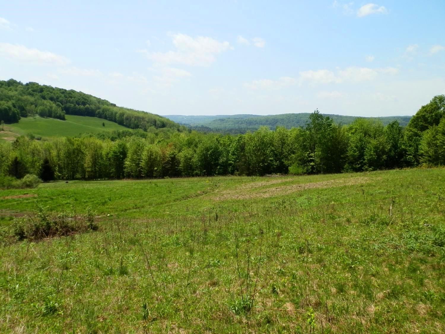 West Winfield, Otsego County, NY Recreational Property, Hunting