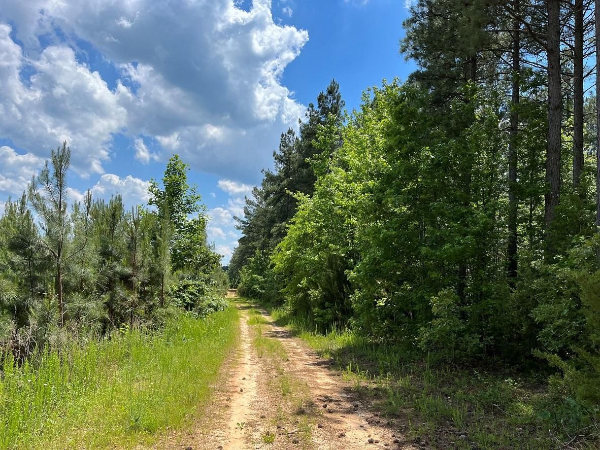 Green Bay, Prince Edward County, VA Recreational Property, Timberland Property, Hunting Property