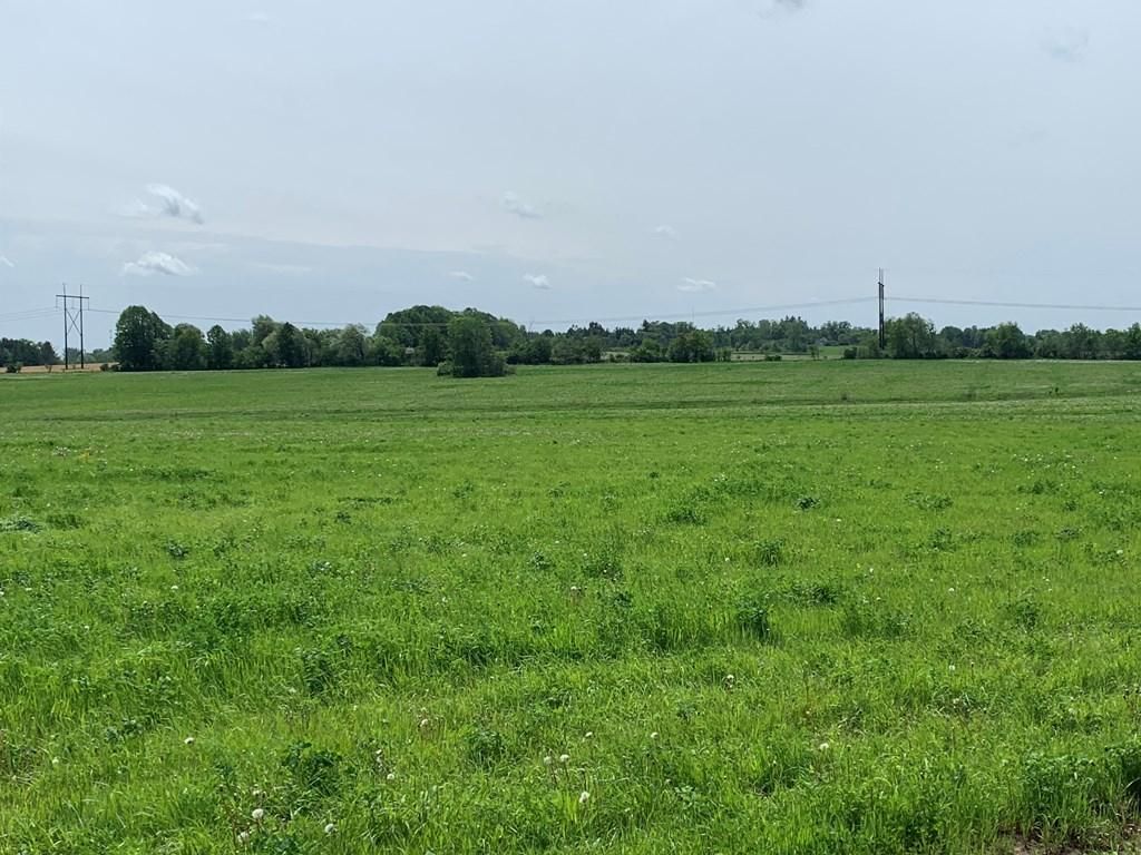 Rudolph, Wood County, WI Farms and Ranches, Undeveloped Land, Hunting Property for sale Property