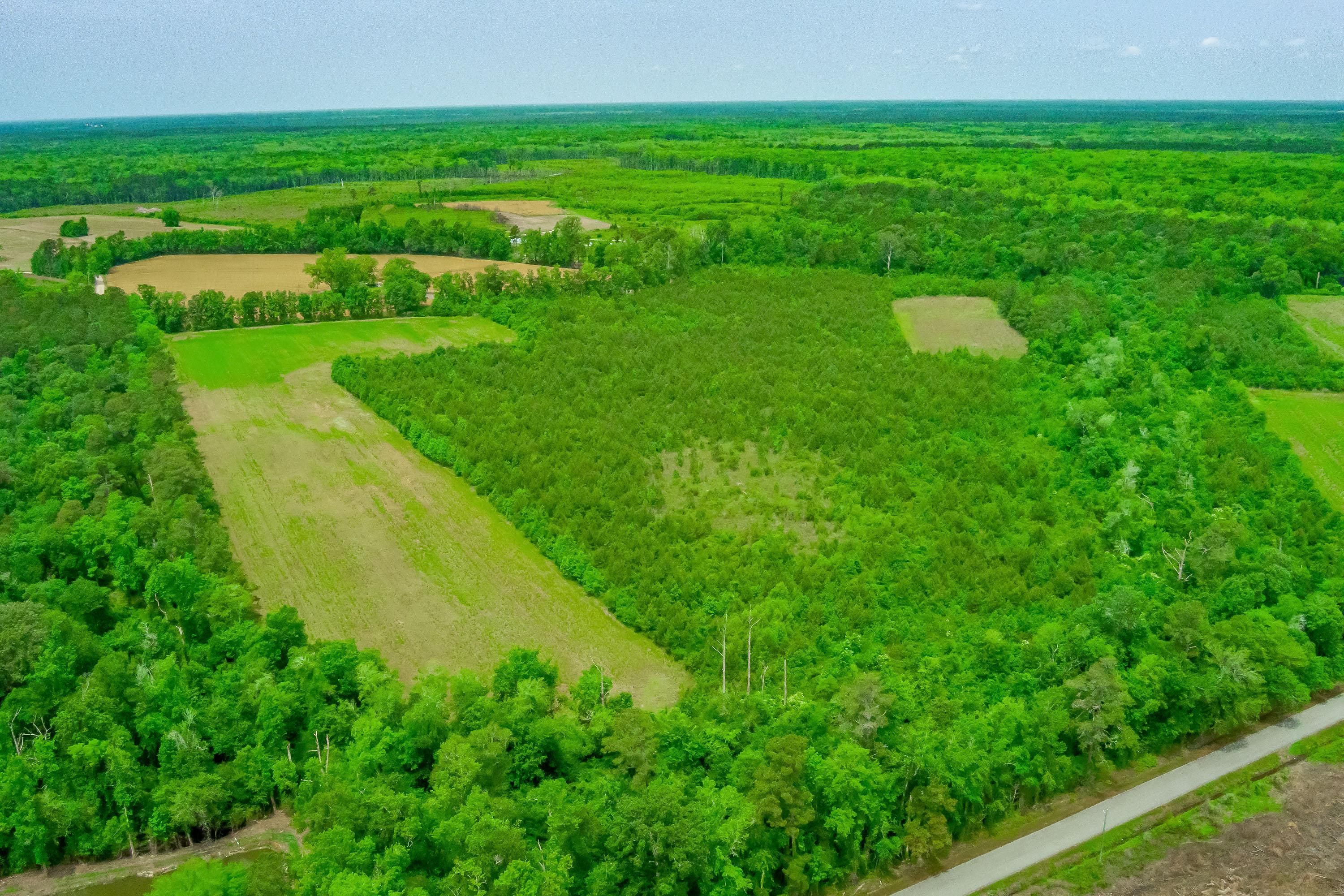 Galivants Ferry, Horry County, SC Recreational Property, Hunting