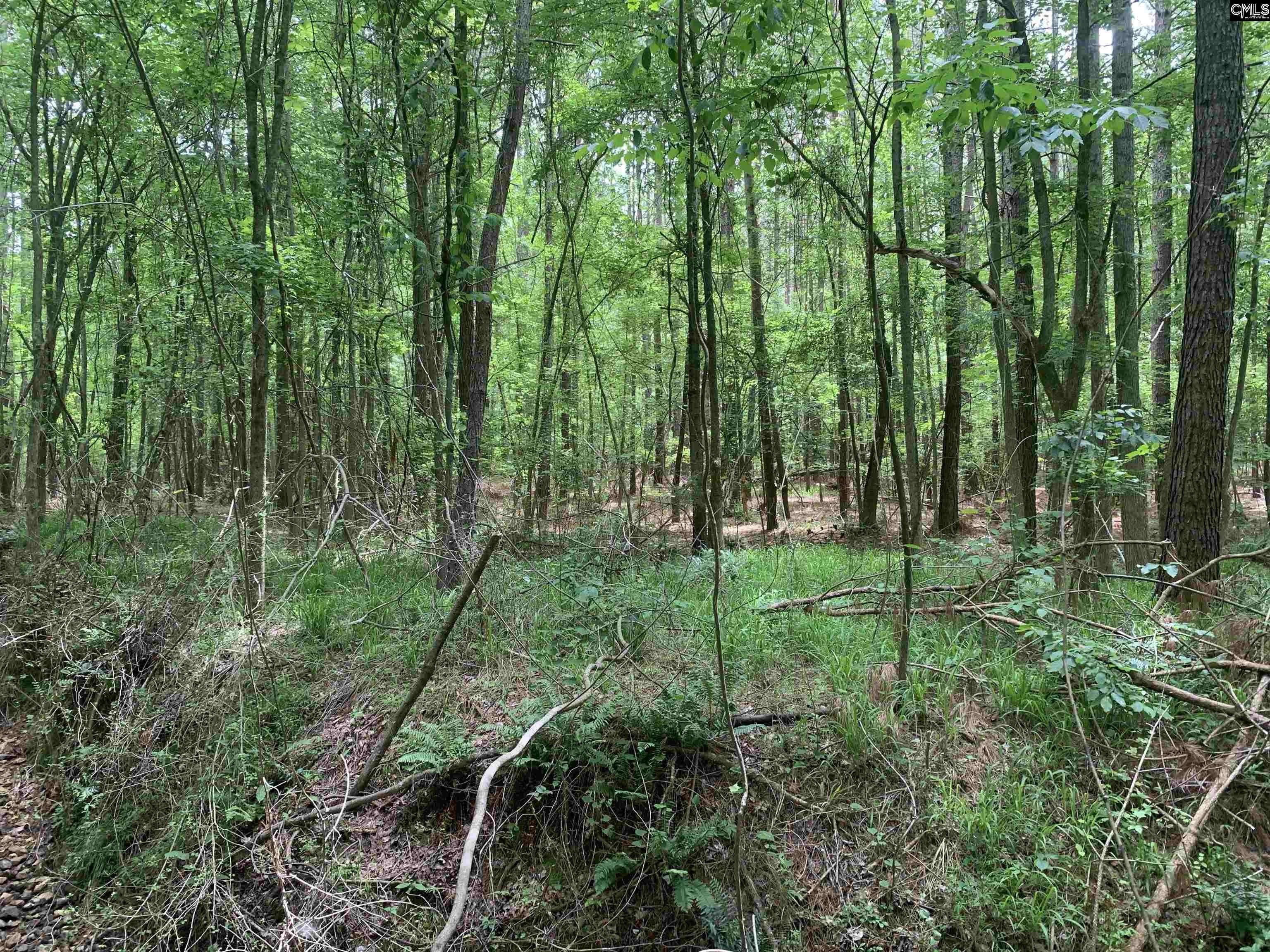 Ridgeway, Fairfield County, SC Undeveloped Land for sale Property ID