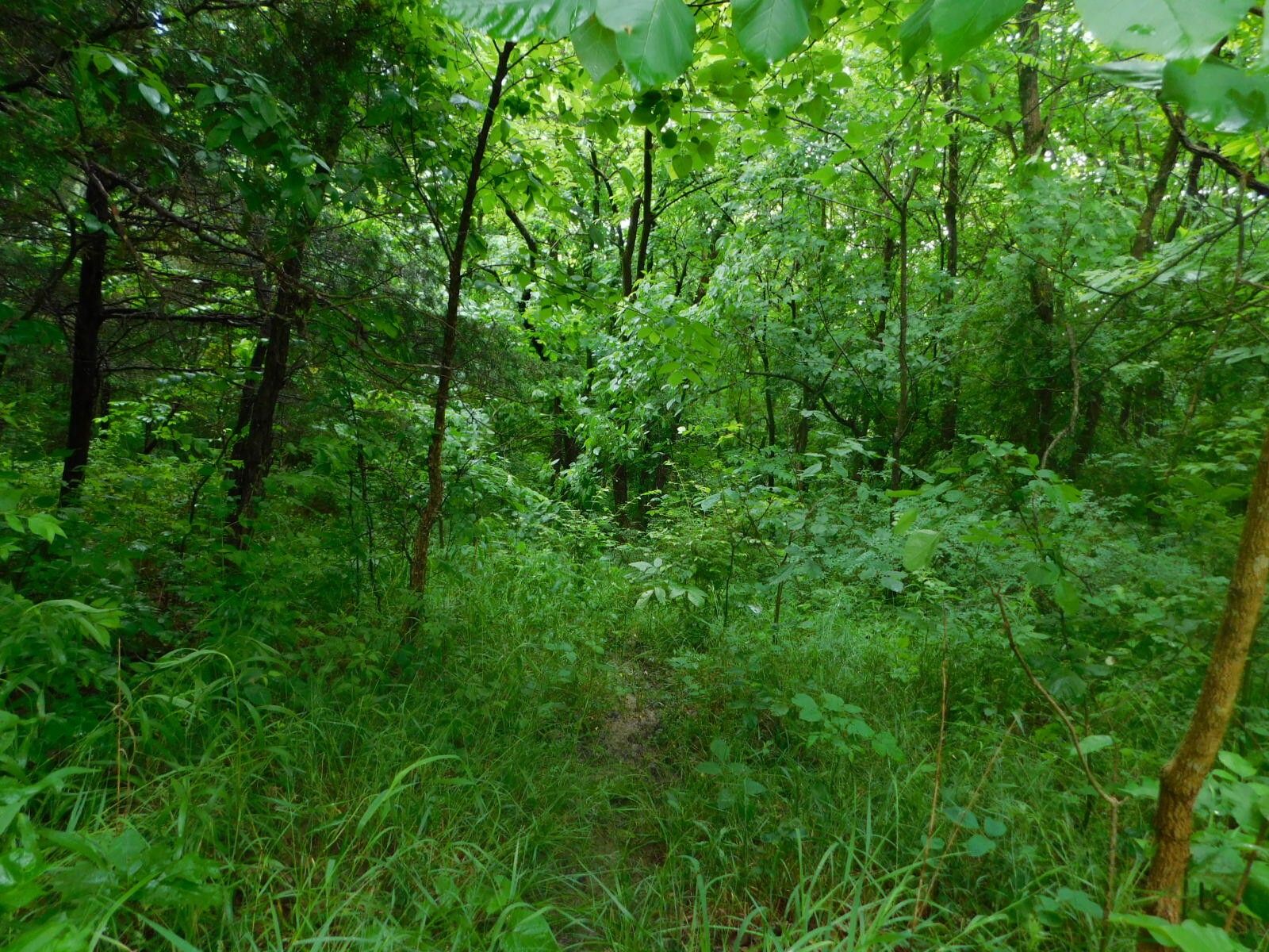 Corinth, Owen County, KY for sale Property ID 413789624 LandWatch