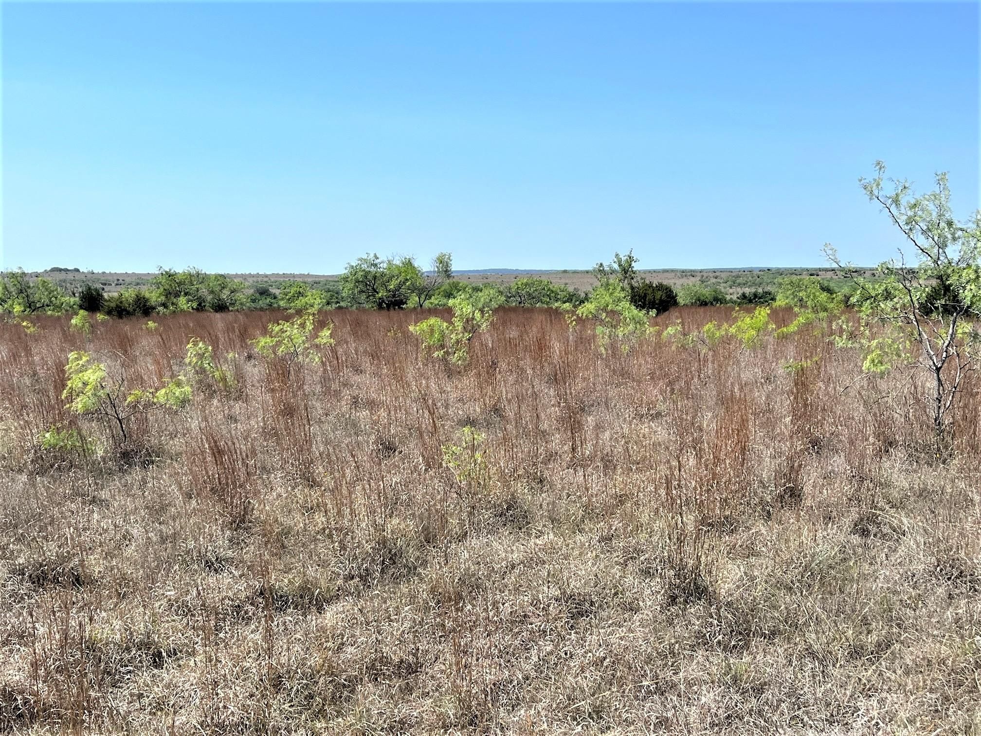 Lometa, Lampasas County, TX Farms and Ranches, Hunting Property for sale Property ID 413791415