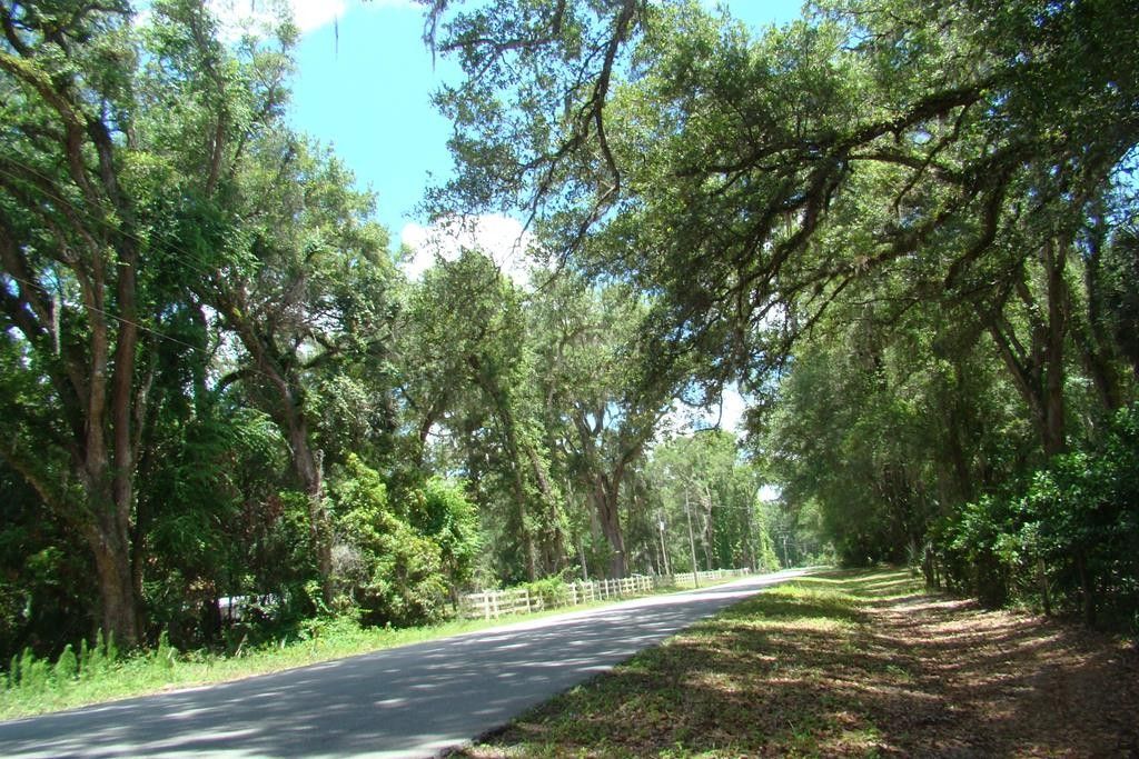 Old Town, Dixie County, FL Undeveloped Land, Homesites for sale