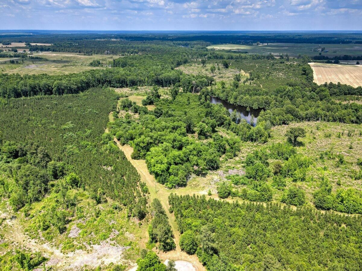 Williston, Barnwell County, SC Undeveloped Land for sale Property ID