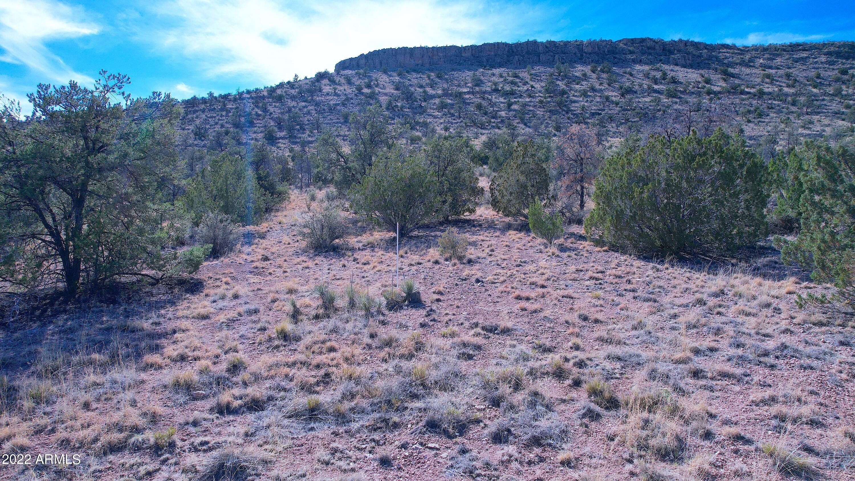 Seligman, Yavapai County, AZ Undeveloped Land for sale Property ID