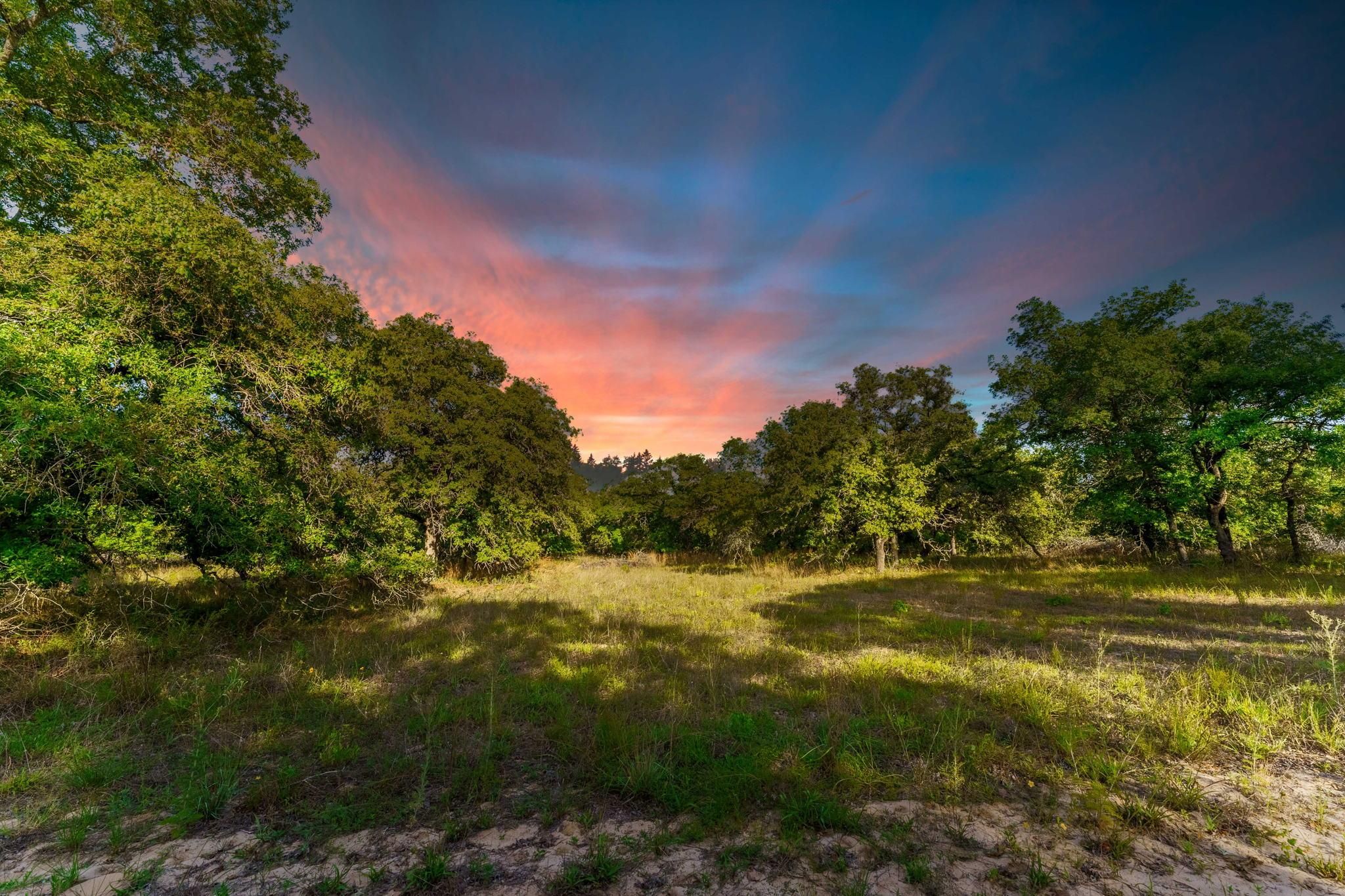 La Vernia, Wilson County, TX Farms and Ranches, Undeveloped Land