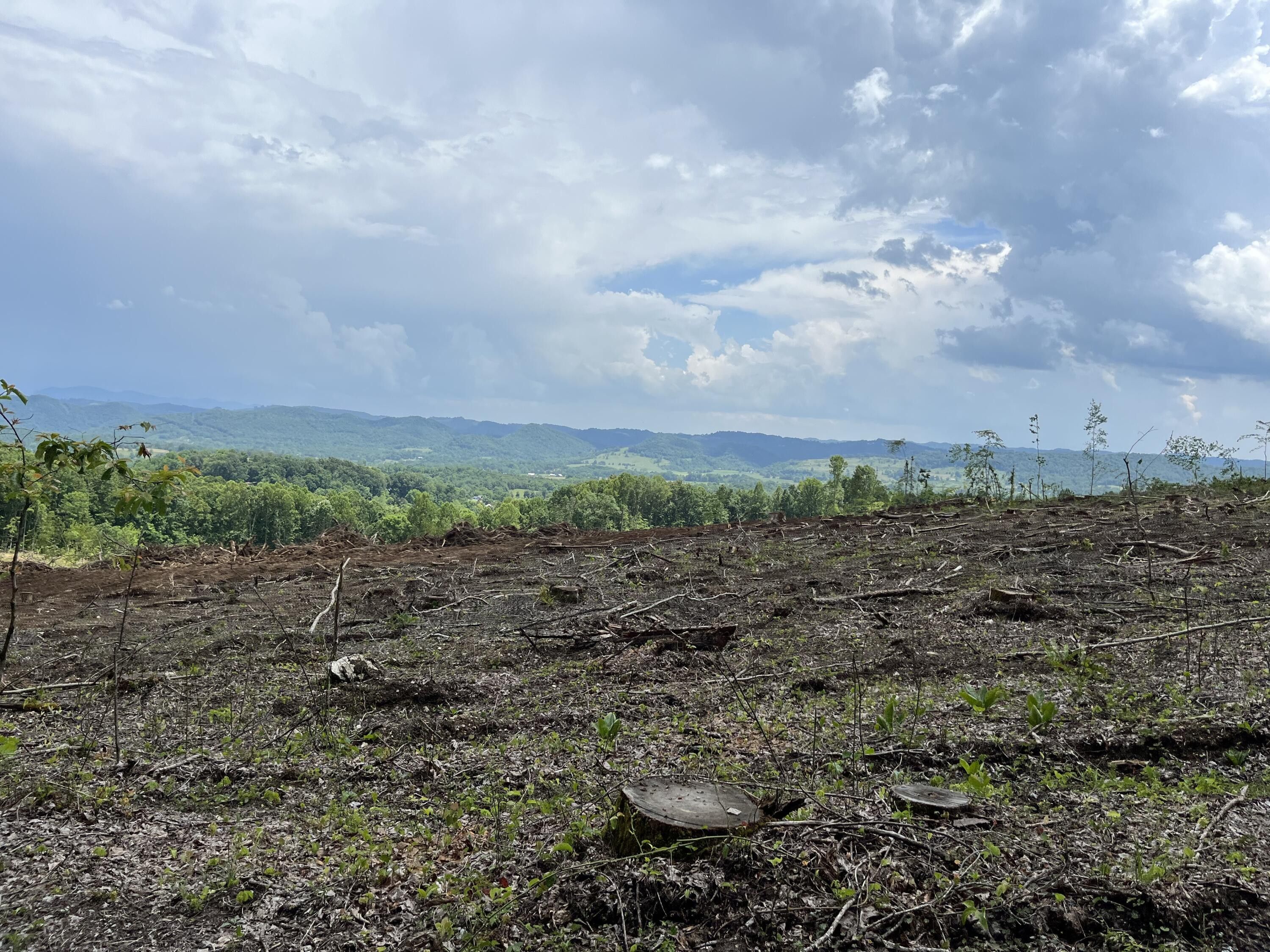 Duffield, Scott County, VA Undeveloped Land for sale Property ID