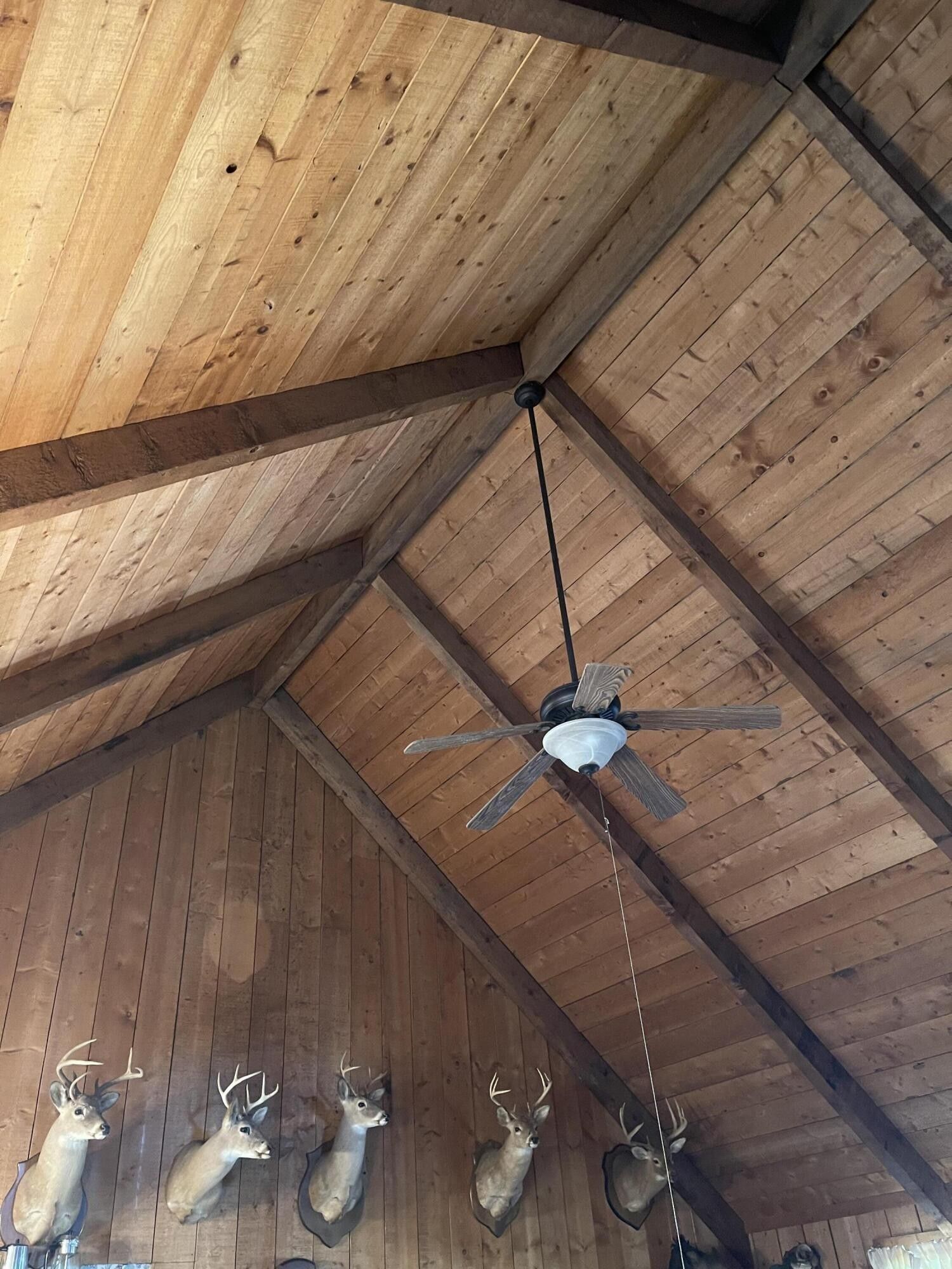 Belvidere, Franklin County, TN House for sale Property ID 413805434