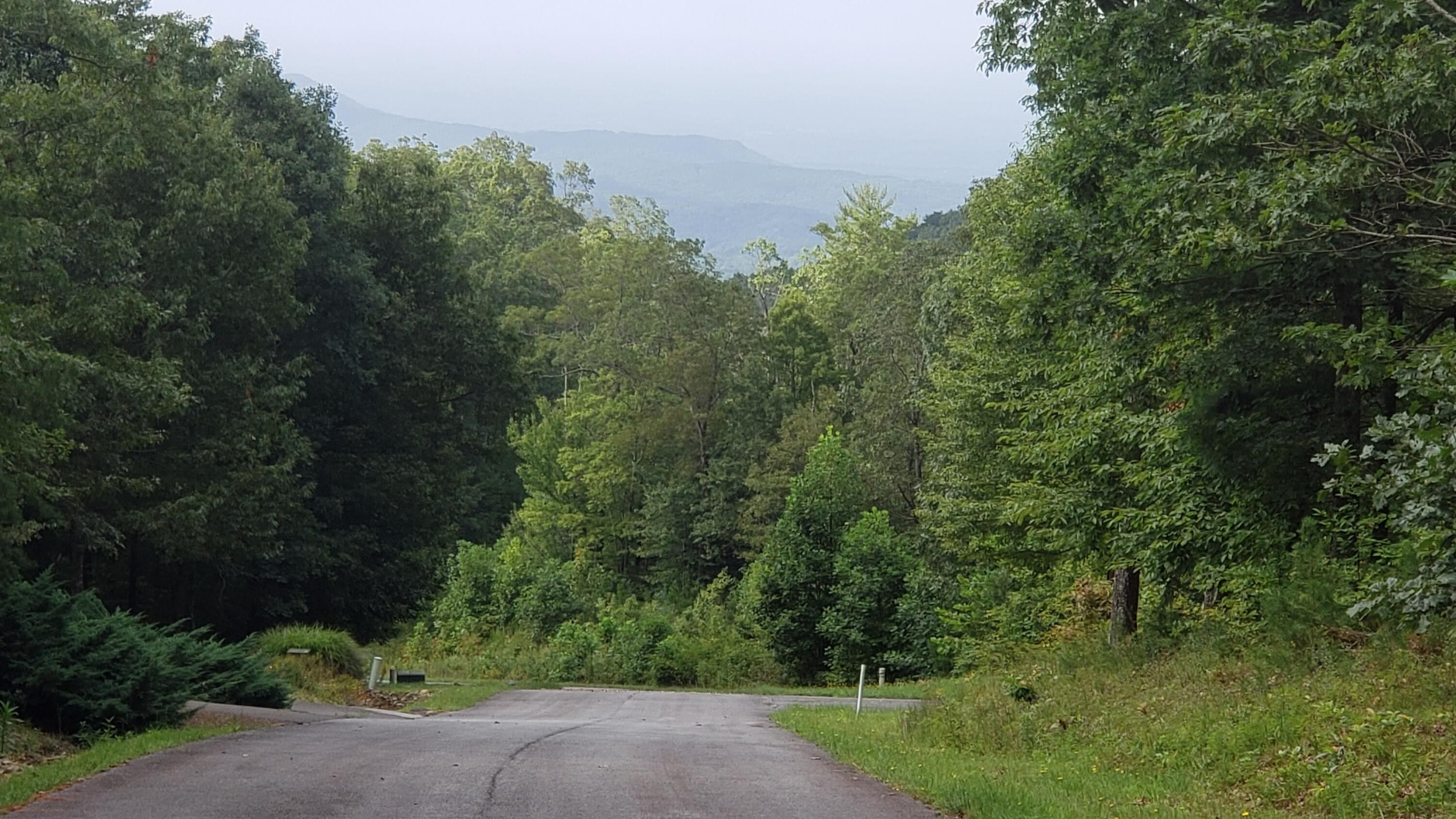 Chatsworth, Murray County, GA Undeveloped Land, Homesites for sale