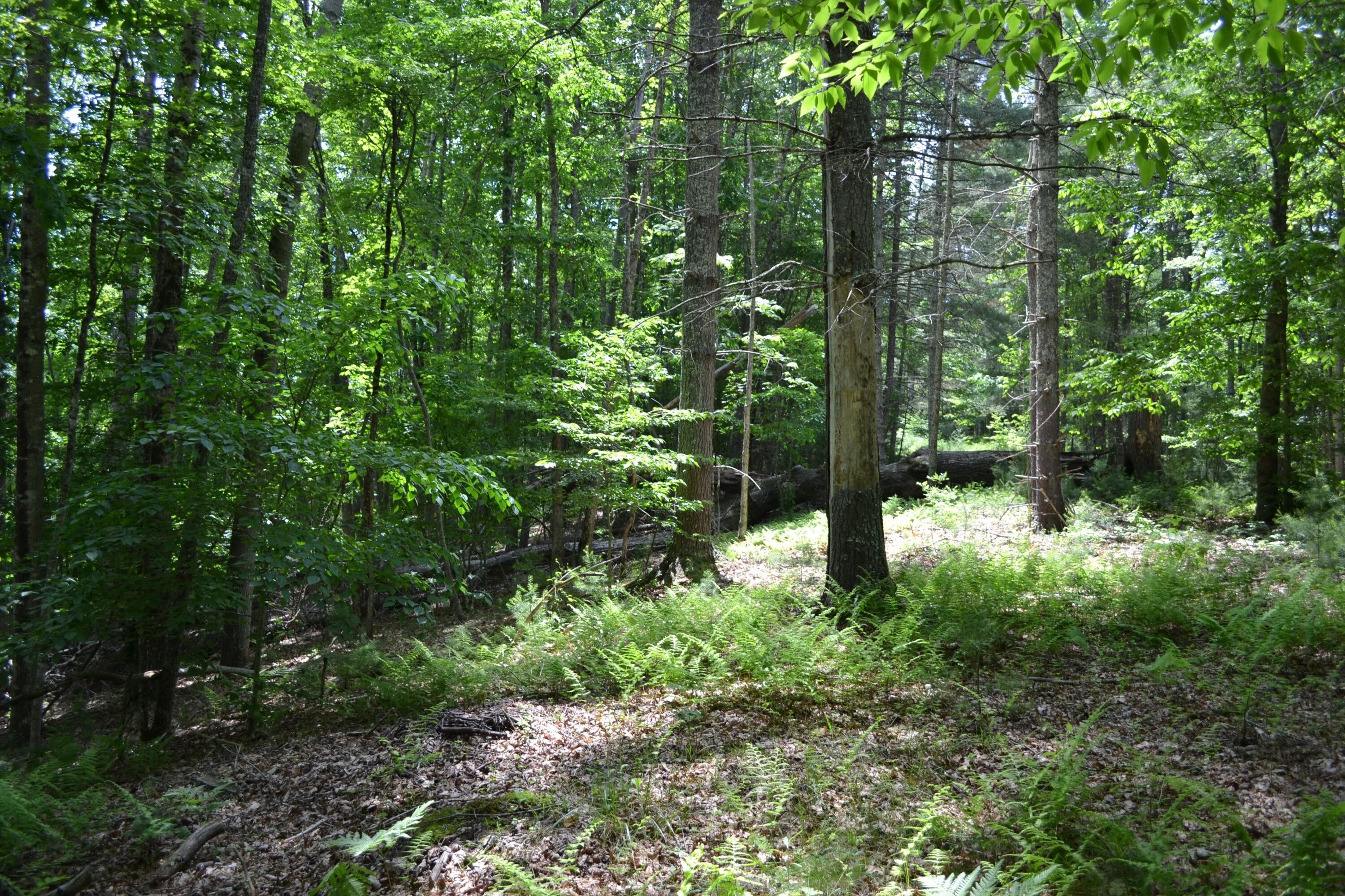 Hillsboro, Pocahontas County, WV Farms and Ranches for sale Property ID