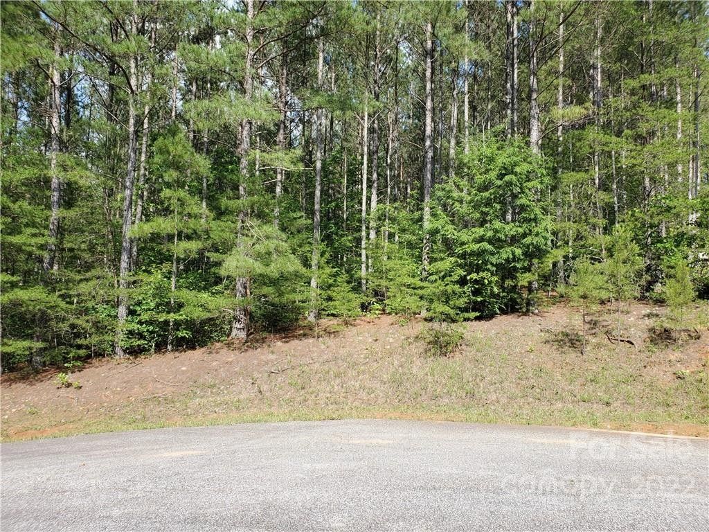 Mill Spring, Polk County, NC Undeveloped Land for sale Property ID