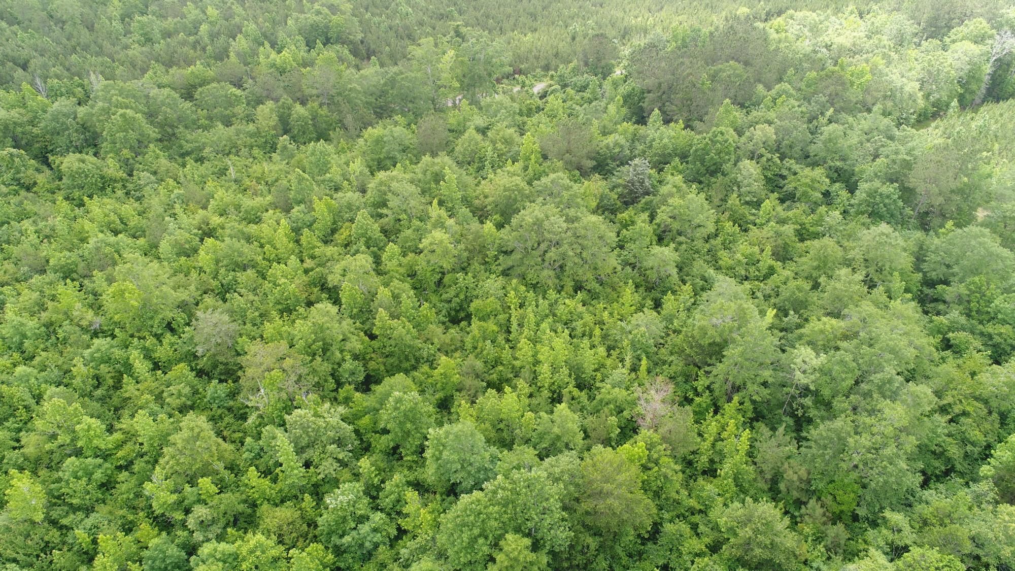 10 acres in Mckenzie, AL, 36456 LandWatch