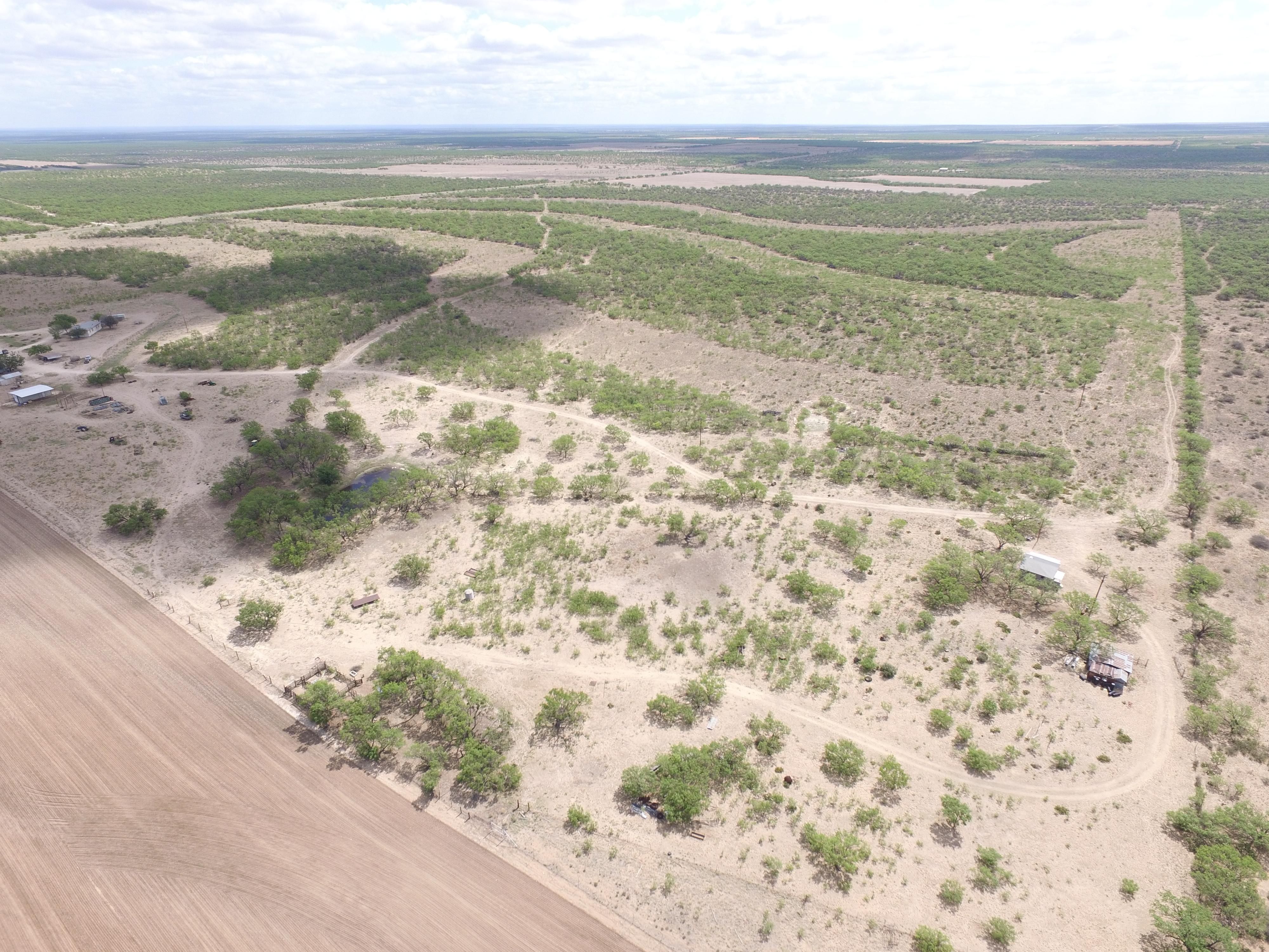 Paint Rock, Concho County, TX Farms and Ranches, Hunting Property