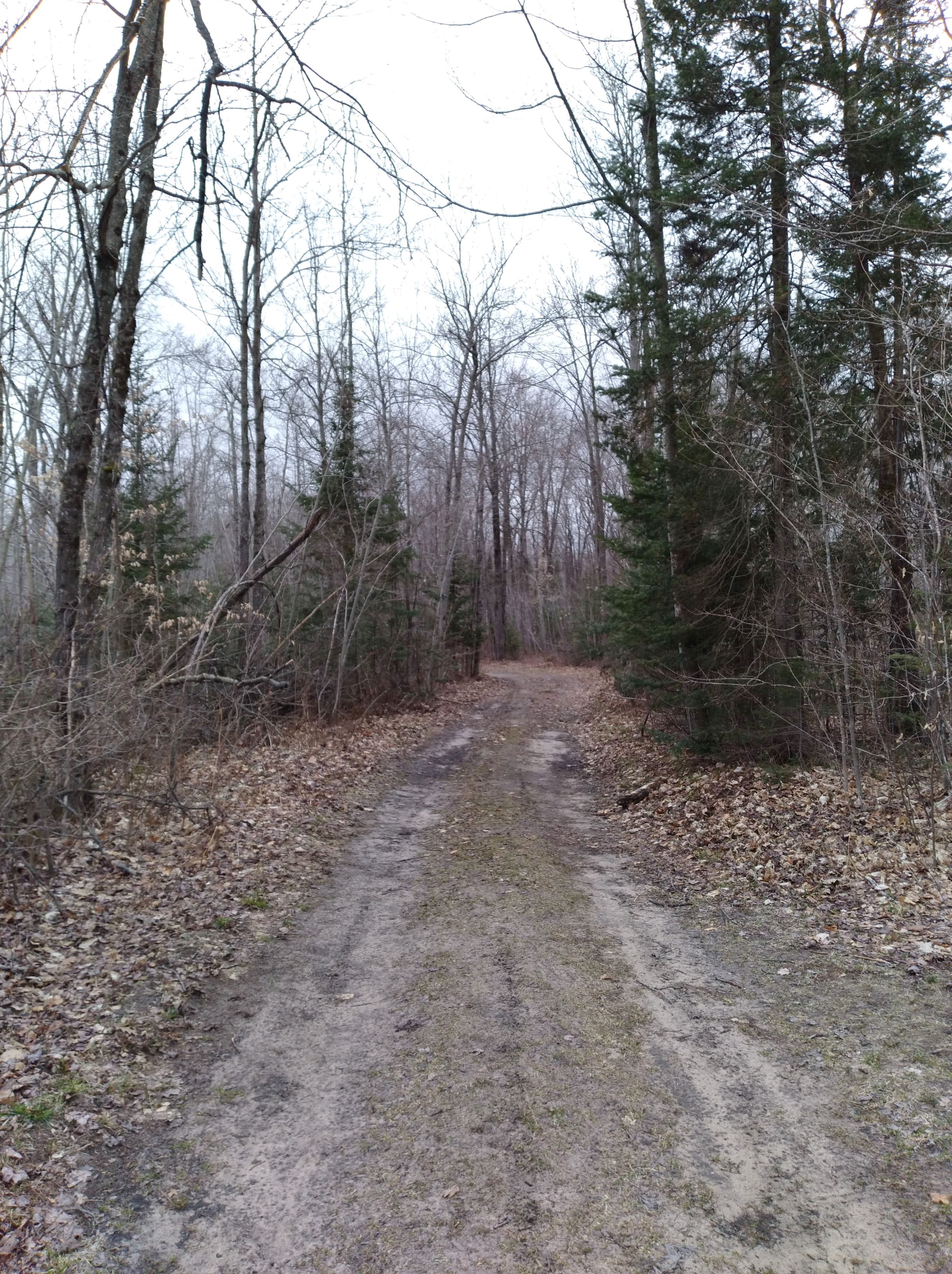 Pickford, Chippewa County, MI Undeveloped Land for sale Property ID