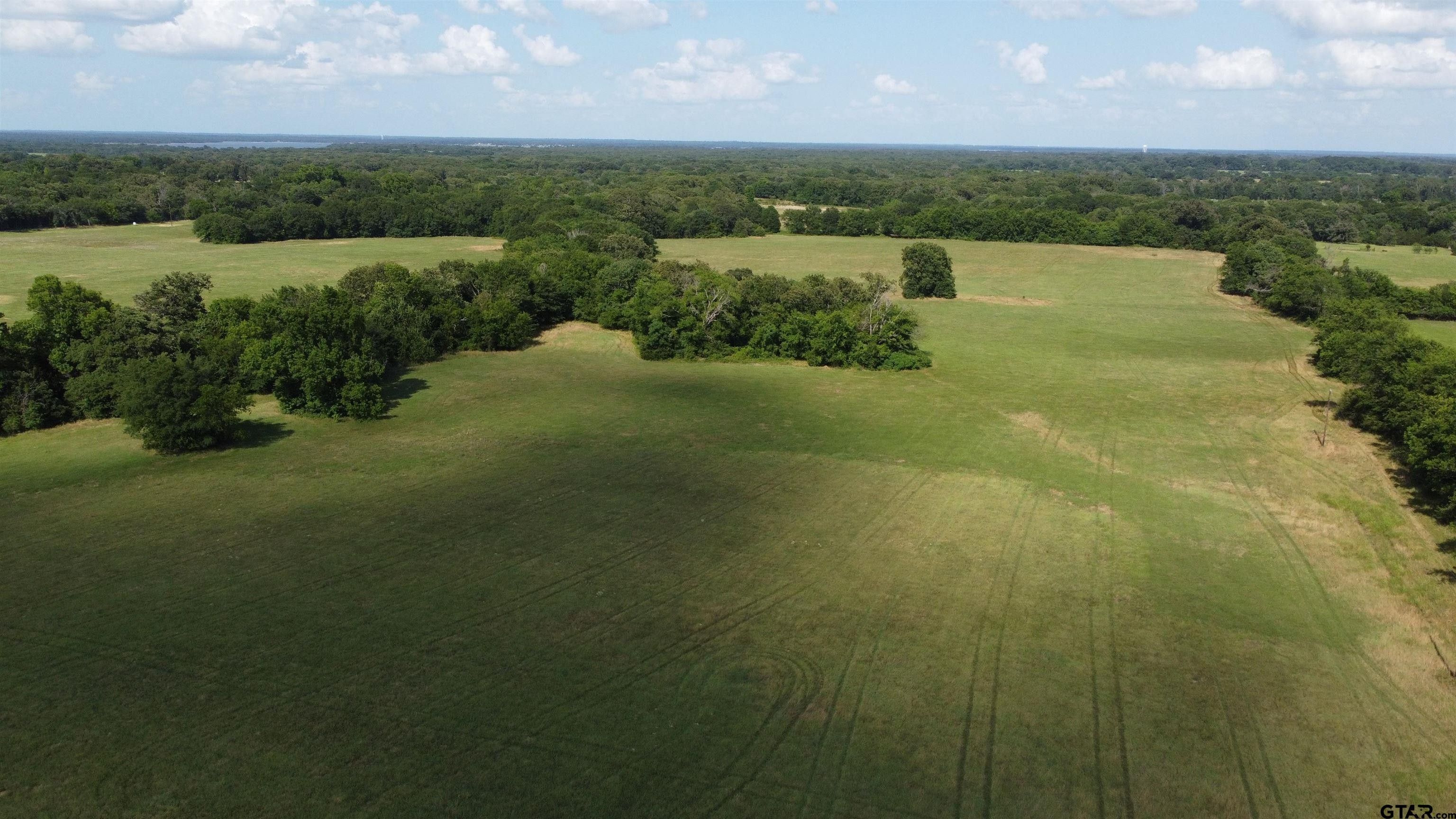 Emory, Rains County, TX Undeveloped Land for sale Property ID